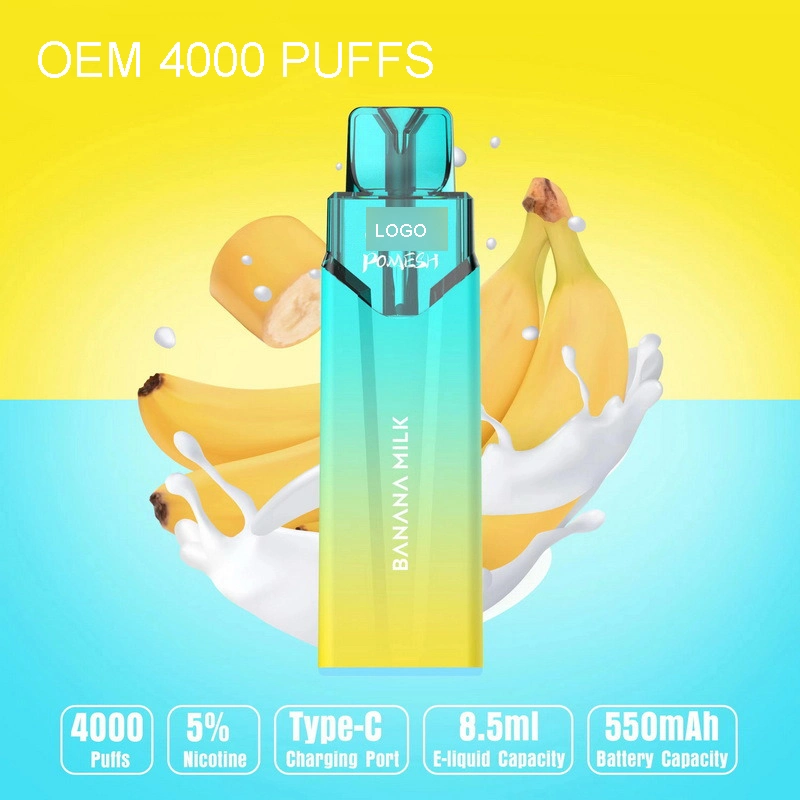 High Appearance Level and High Quality Wholesale Disposable Vape Pen OEM 4000 Puffs